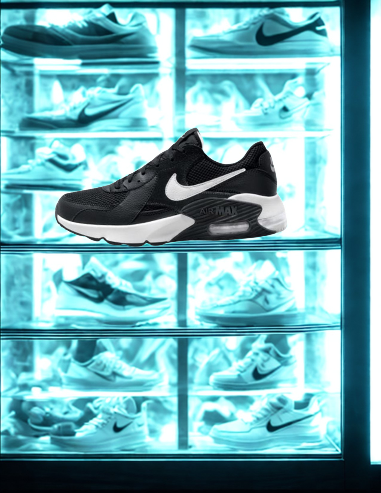 Tenis